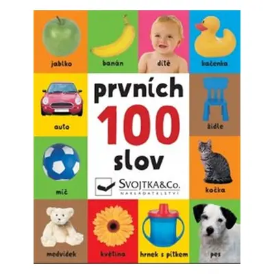 Prvních 100 slov