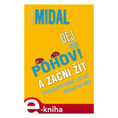 Dej si pohov! A začni žít - Fabrice Midal