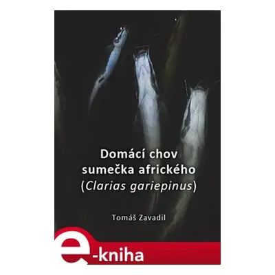 Domácí chov sumečka afrického - Tomáš Zavadil