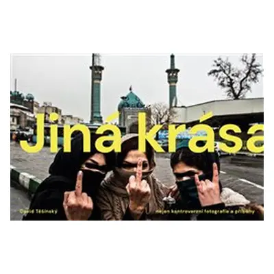 Jiná krása - David Těšínský