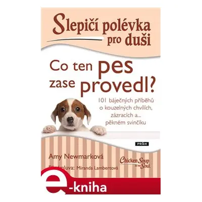 Slepičí polévka pro duši - Co ten pes zase provedl? - Amy Newmarková