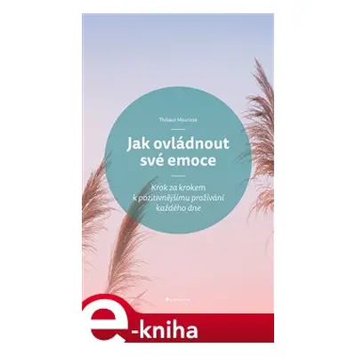 Jak ovládnout své emoce - Thibaut Meurisse