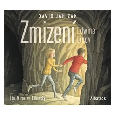 Zmizení Edwina Lindy - David Jan Žák