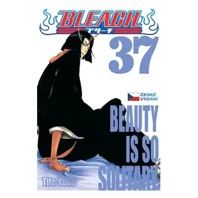 Bleach 37: Beauty Is So Solitary - Tite Kubo