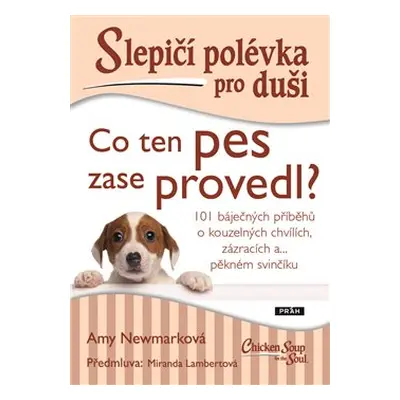 Slepičí polévka pro duši - Co ten pes zase provedl? - Amy Newmarková