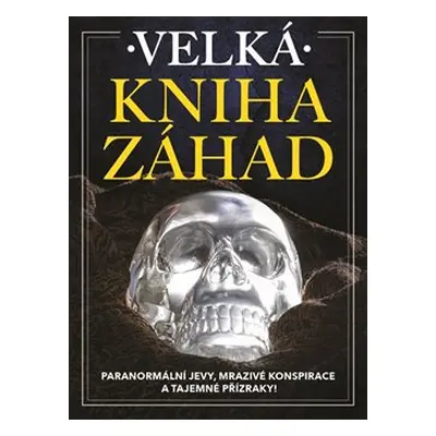 Velká kniha záhad - kol.