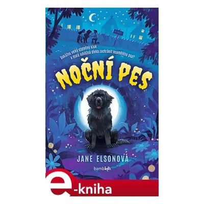 Noční pes - Jane Elsonová