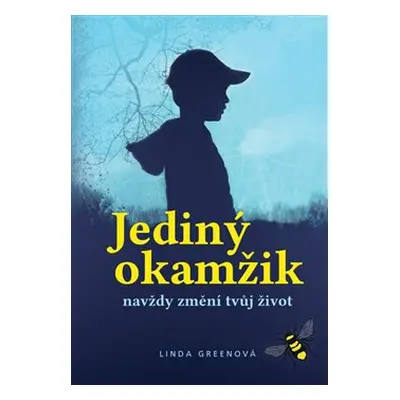 Jediný okamžik - Linda Greenová