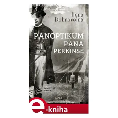 Panoptikum pana Perkinse - Ilona Dobrovolná