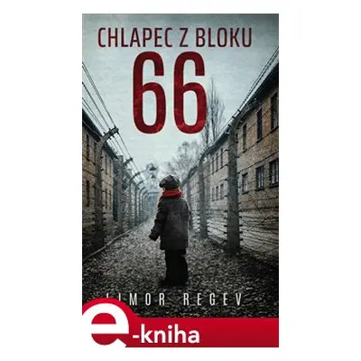 Chlapec z bloku 66 - Limor Regev