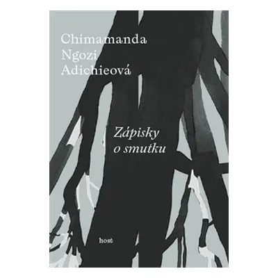 Zápisky o smutku - Chimamanda Ngozi Adichieová