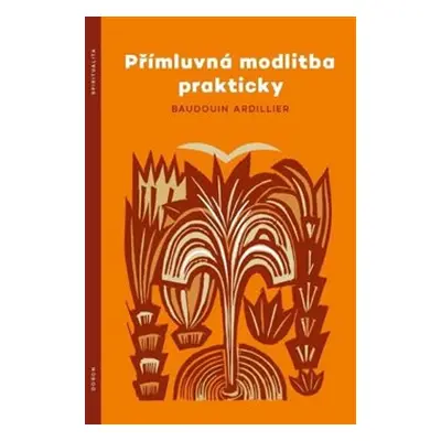 Přímluvná modlitba prakticky - Baudouin Ardillier