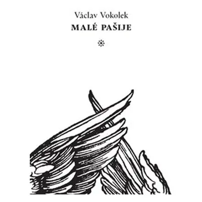 Malé pašije - Václav Vokolek