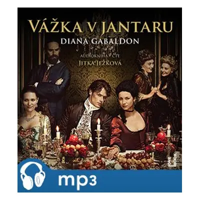 Vážka v jantaru - Diana Gabaldon