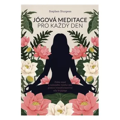 Jógová meditace pro každý den - Stephen Sturgess