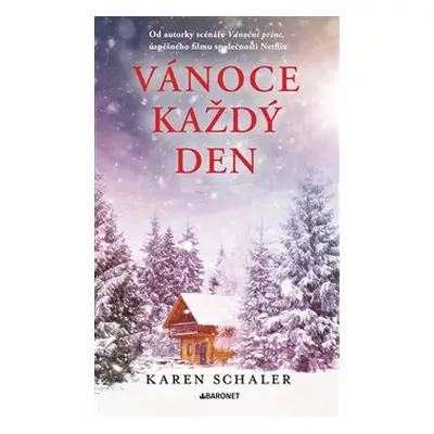 Vánoce každý den - Karen Schaler