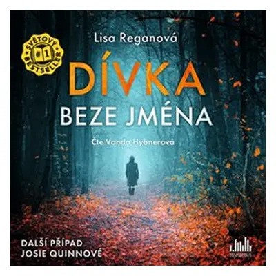 Dívka beze jména - Lisa Reganová