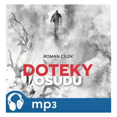 Doteky osudu, mp3 - Roman Cílek