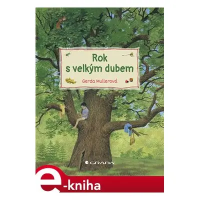 Rok s velkým dubem - Gerda Muller