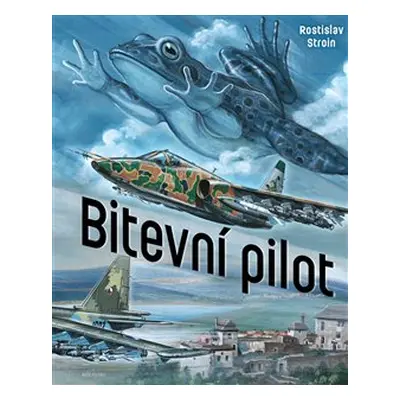 Bitevní pilot - Rostislav Stroin