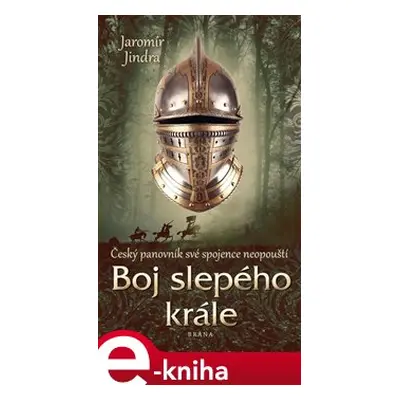 Boj slepého krále - Jaromír Jindra