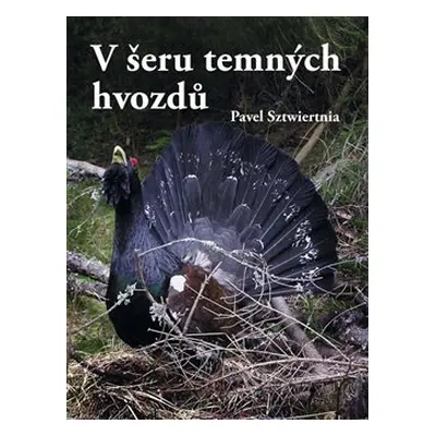 V šeru temných hvozdů - Pavel Sztwiertnia