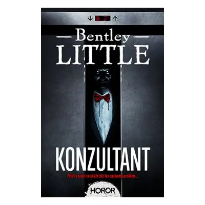 Konzultant - Bentley Little