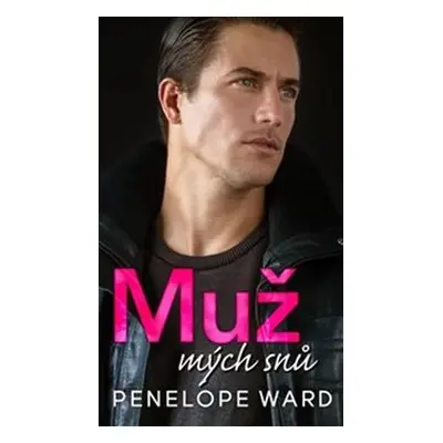 Muž mých snů - Penelope Ward