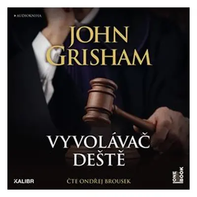 Vyvolávač deště - John Grisham