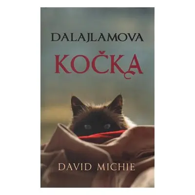 Dalajlamova kočka - David Michie