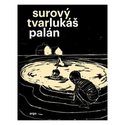 Surový tvar - Lukáš Palán