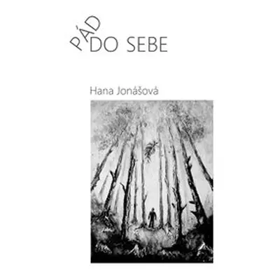 Pád do sebe - Hana Jonášová