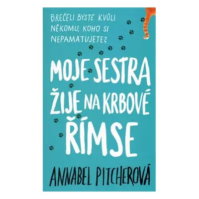 Moje sestra žije na krbové římse - Annabel Pitcherová