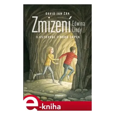 Zmizení Edwina Lindy - David Jan Žák