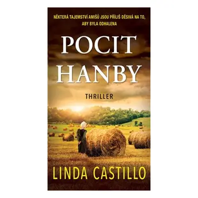 Pocit hanby - Linda Castillo