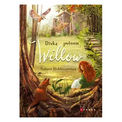 Dívka jménem Willow - Sabine Bohlmannová