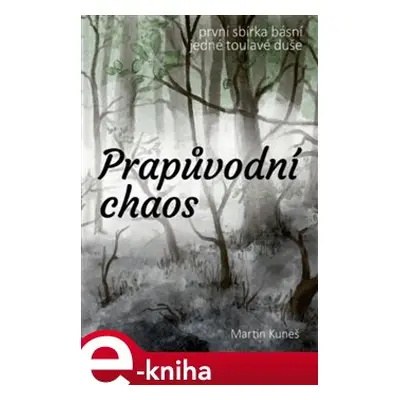 Prapůvodní chaos - Martin Kuneš