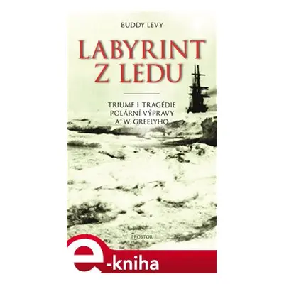 Labyrint z ledu - Buddy Levy