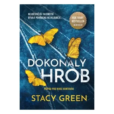 Dokonalý hrob - Stacy Green