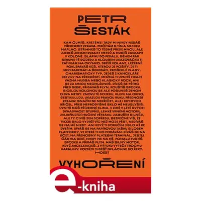 Vyhoření - Petr Šesták