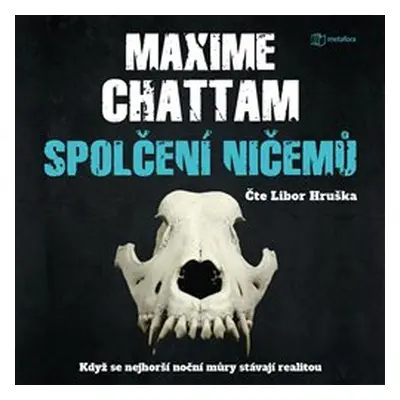 Spolčení ničemů - Maxime Chattam