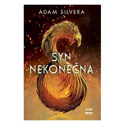 Syn nekonečna - Adam Silvera