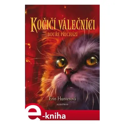 Kočičí válečníci (4) - Bouře přichází - Erin Hunterová