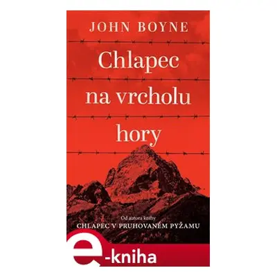 Chlapec na vrcholu hory - John Boyne