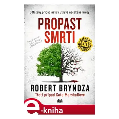 Propast smrti - Robert Bryndza