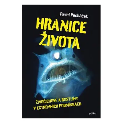 Hranice života - Pavel Pecháček