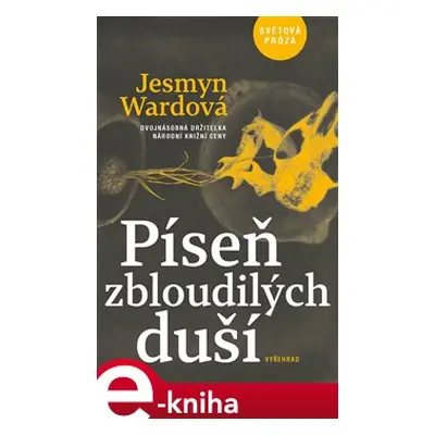 Píseň zbloudilých duší - Jesmyn Wardová