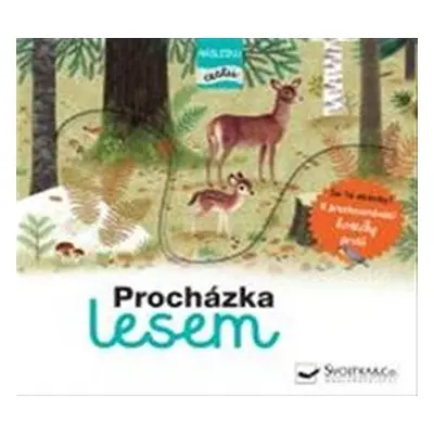 Procházka lesem - následuj cestu