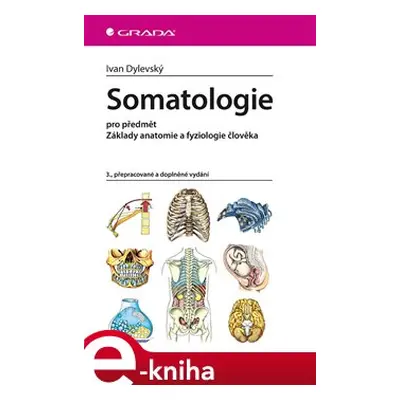 Somatologie - Ivan Dylevský