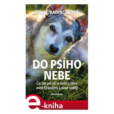 Do psího nebe - Elli H. Radingerová